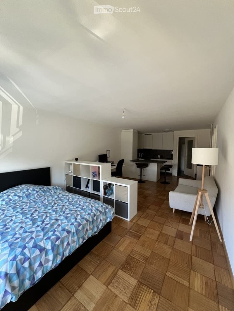 Grand Studio à Oulens (2)