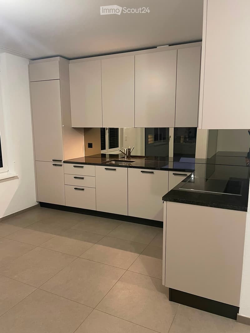 Magnifique appartement 2.5 pièces avec loggia (1)