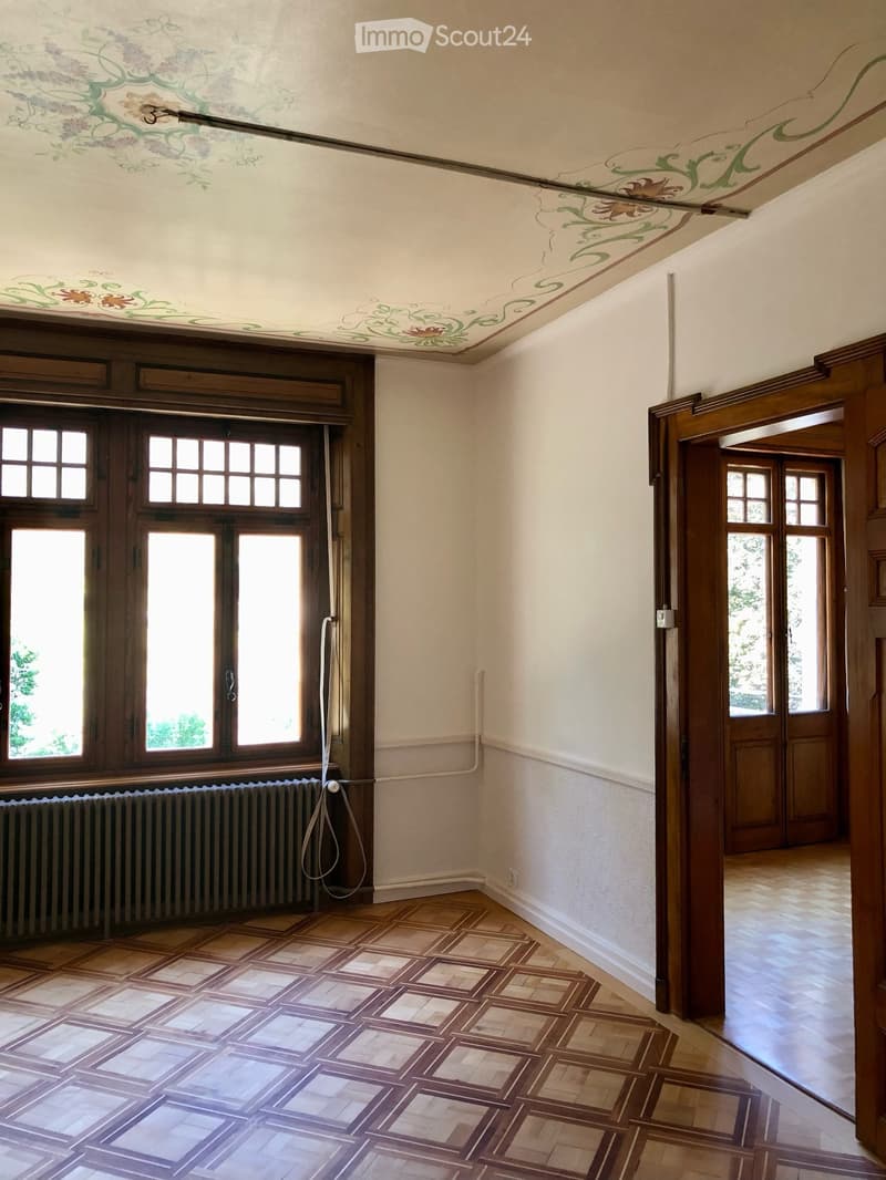 Appartement dans une maison de maitre (7)