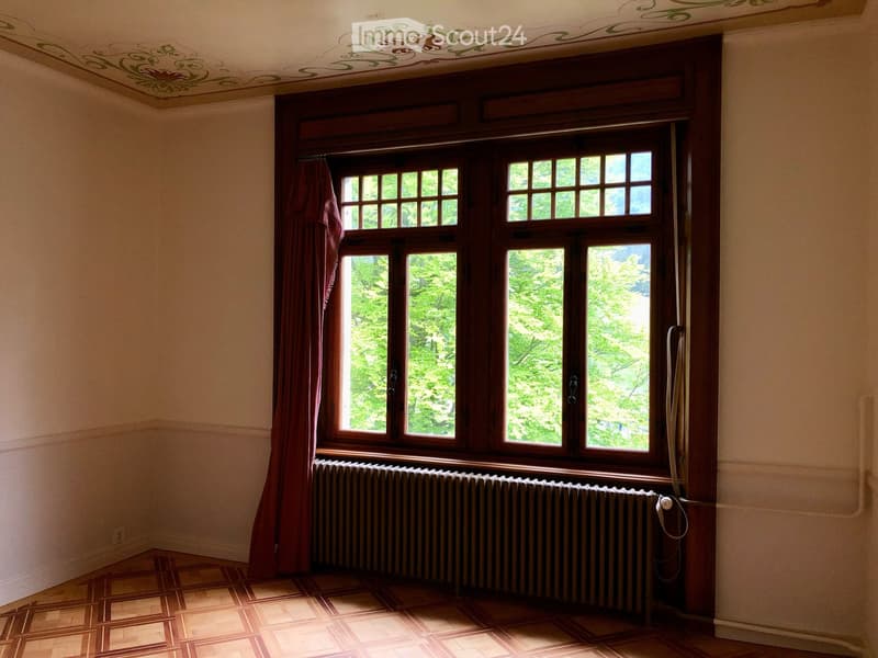 Appartement dans une maison de maitre (5)
