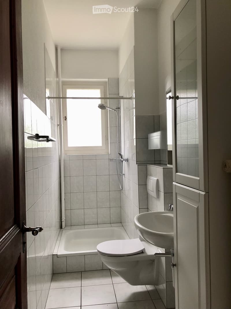 Appartement dans une maison de maitre (9)