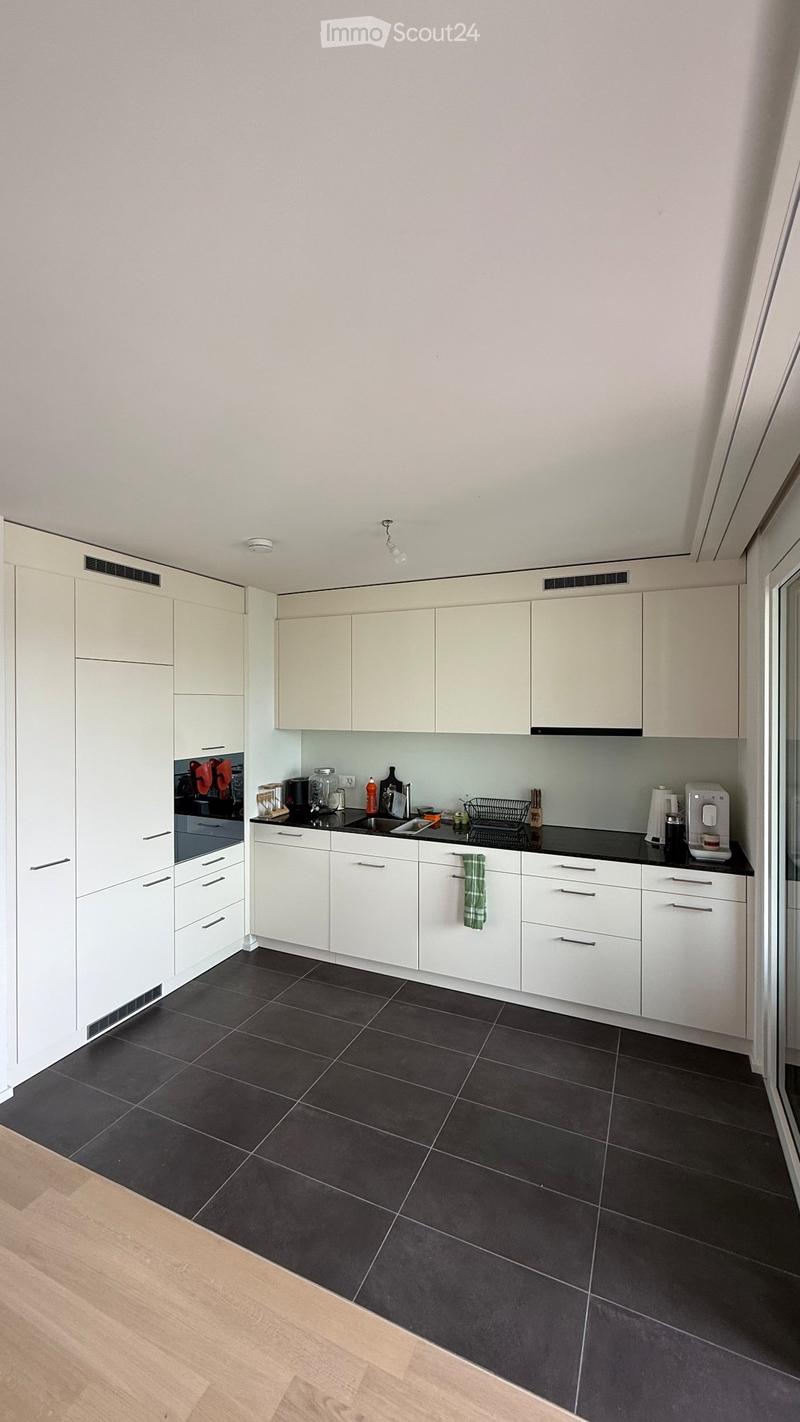 Appartement de 3.5 pces dans nouvelle construction à louer (2)
