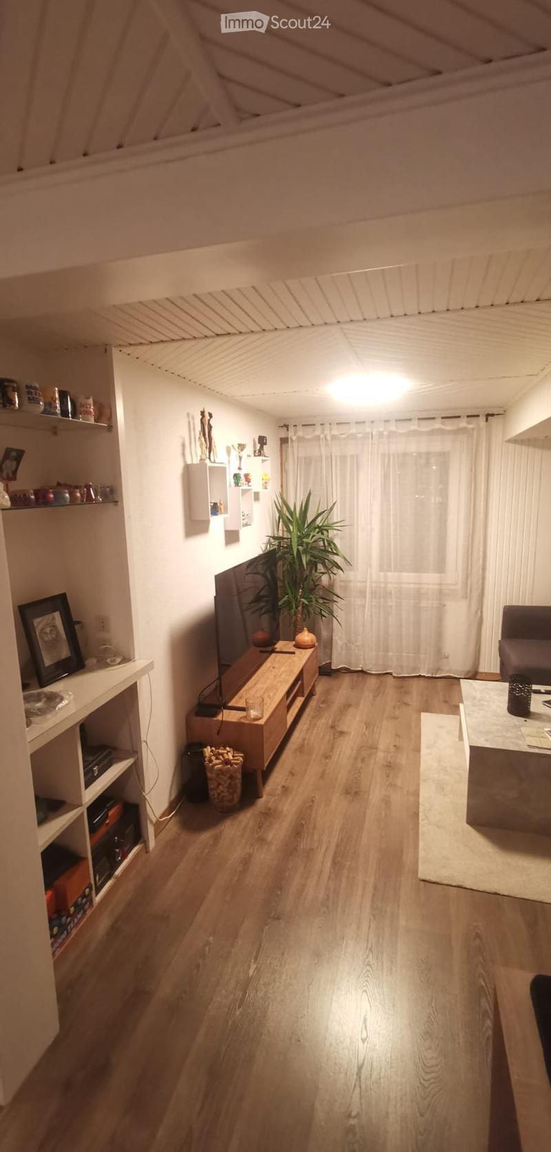 Bel appartement lumineux (2)