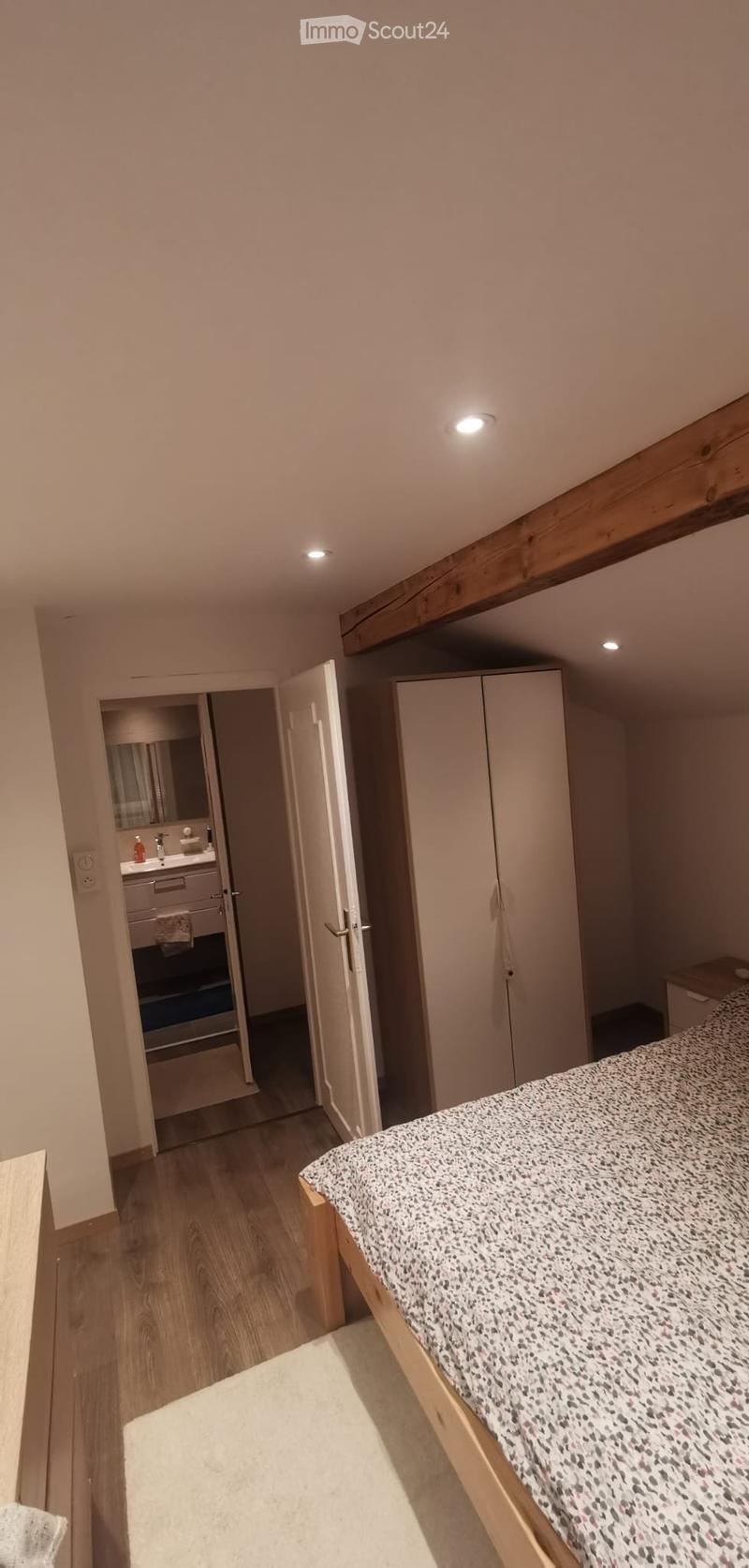 Bel appartement lumineux (4)