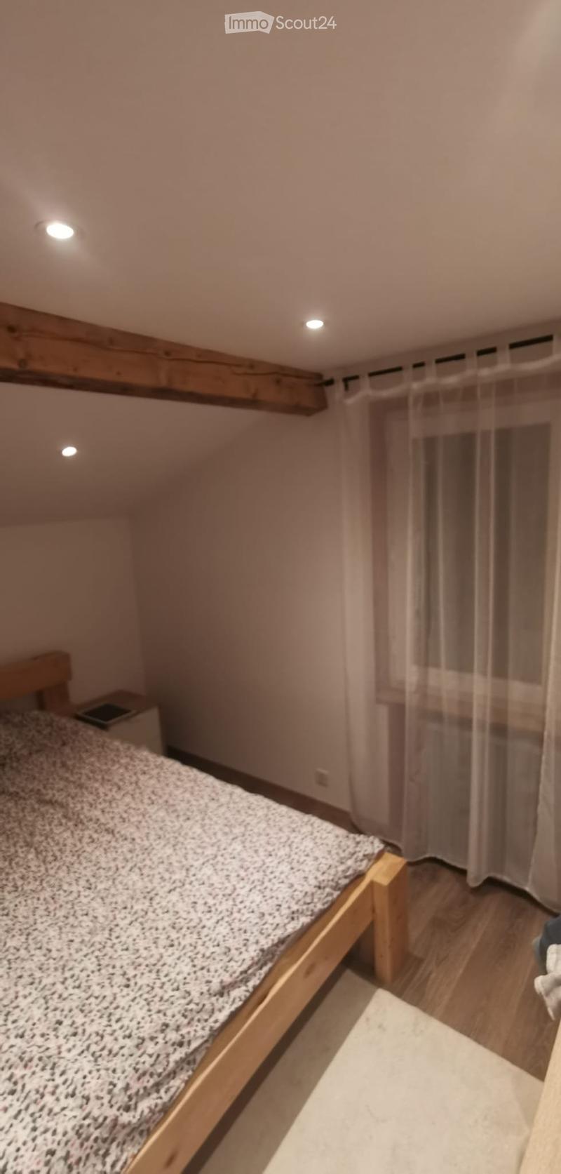Bel appartement lumineux (5)