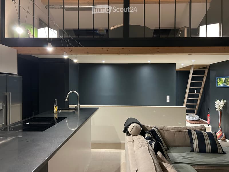 Maison-loft d'exception de 140 m², jardin privatif, garage (2)