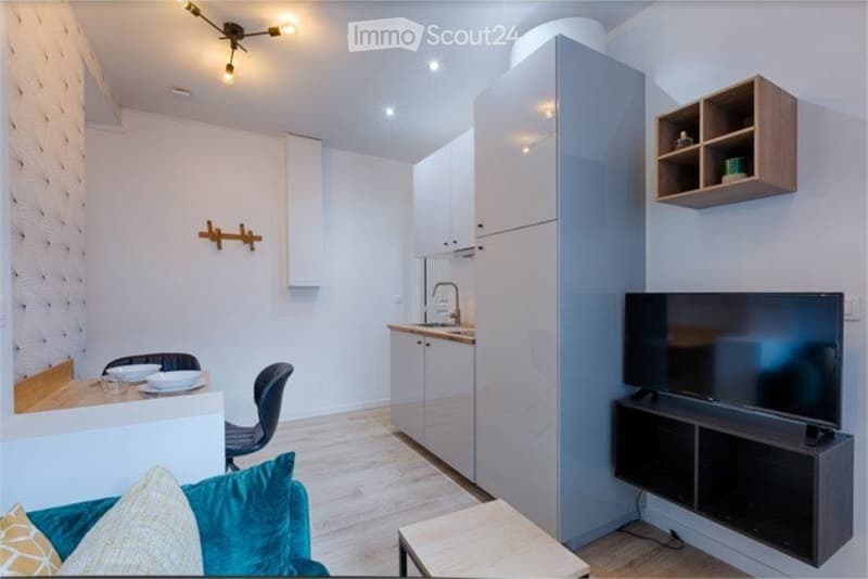 Charmant deux pièces meublé - QUARTIER PLAINPALAIS (2)