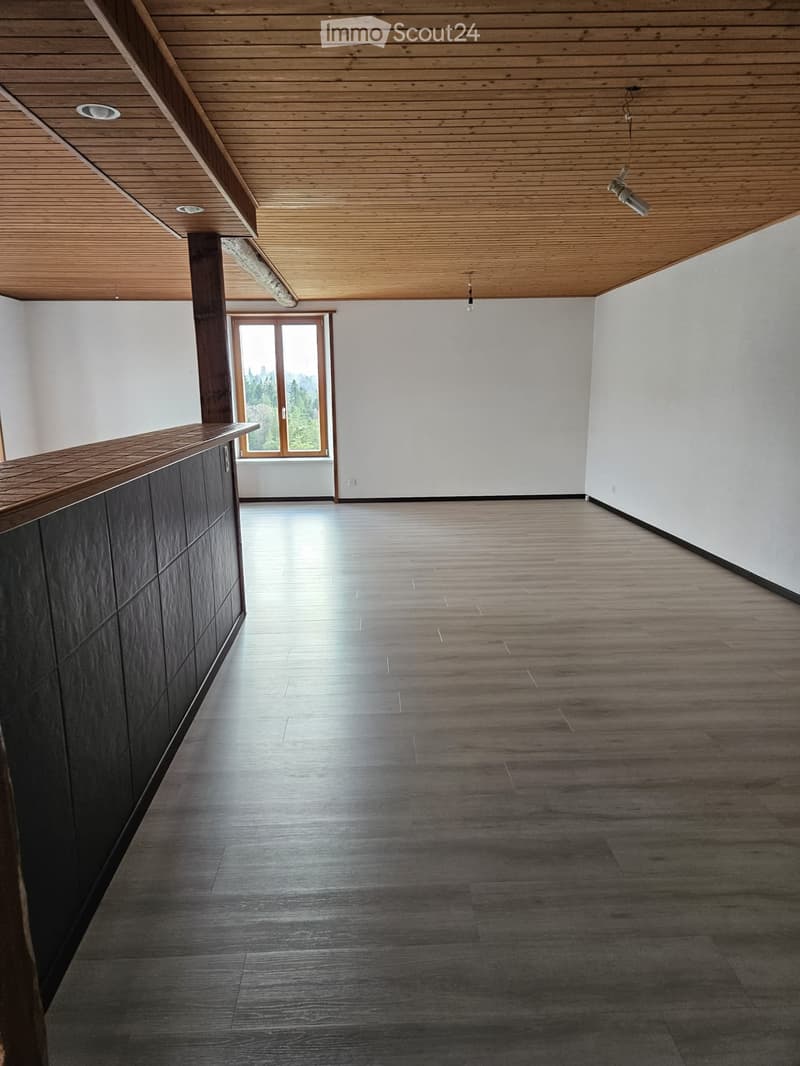 A louer appartement 6,5 pièces La Ferrières (2)