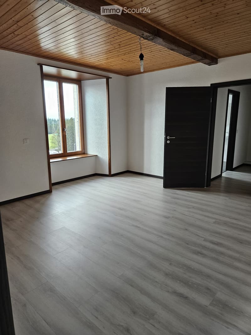 A louer appartement 6,5 pièces La Ferrières (4)