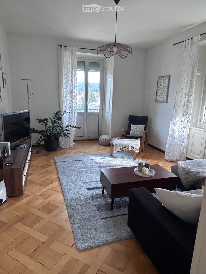 Grand appartement lumineux (2)