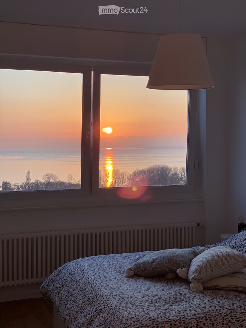 À louer, parking inclus: Appartement 3.5 pièces, attique (3)