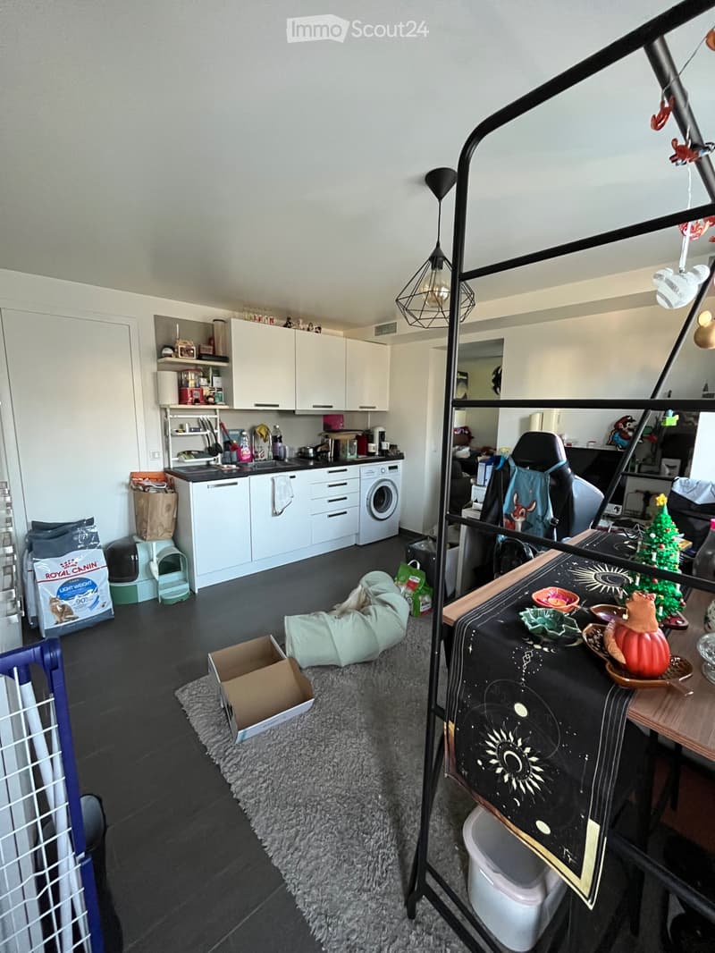 Studio de 35m2, Fribourg Jura, 1er novembre ou à convenir (1)