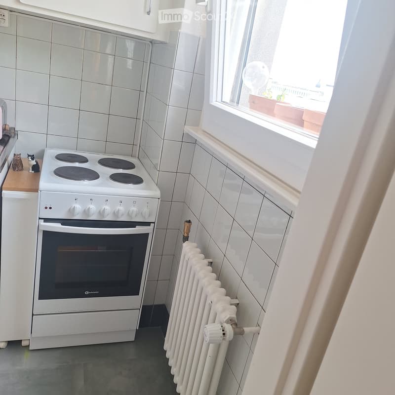 Appartement au centre ville de Lausanne à sous-louer (2)