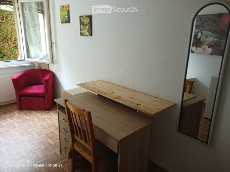 Chambre en Colocation conviviale pour amoureux des animaux (4)