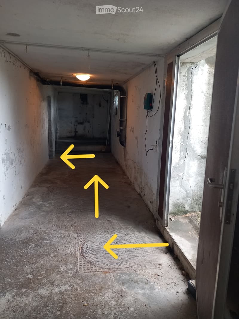 Grosser Keller / Lagerraum mit gutem Zugang (2)