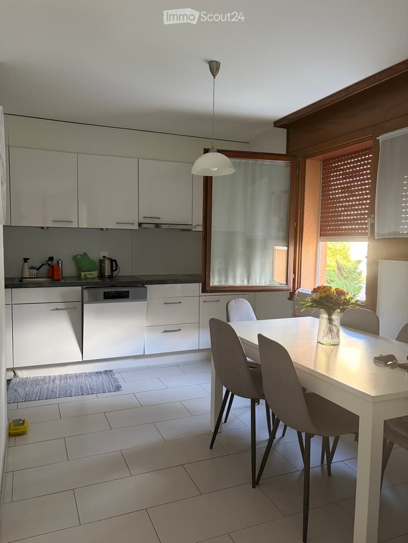 Appartement à louer (1)