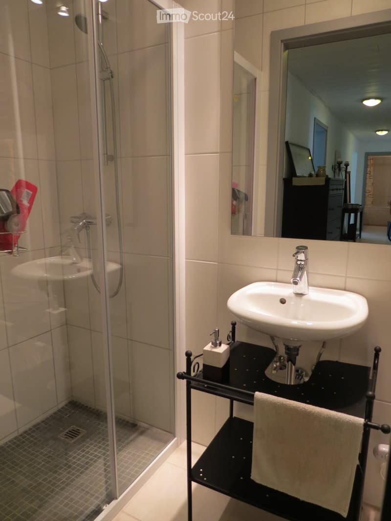 Magnifique appartement de 5,5 pièces - près écoles - 140 m2 (4)