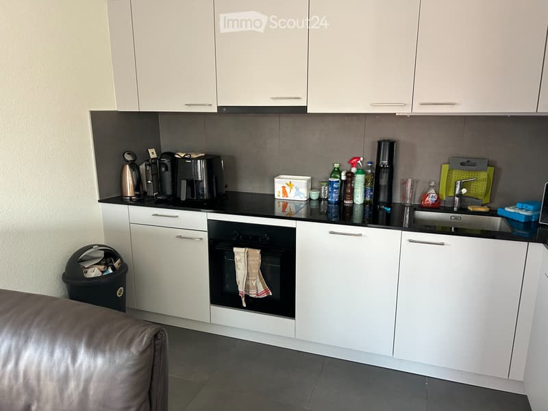 Magnifique appartement à louer à Renens (2)