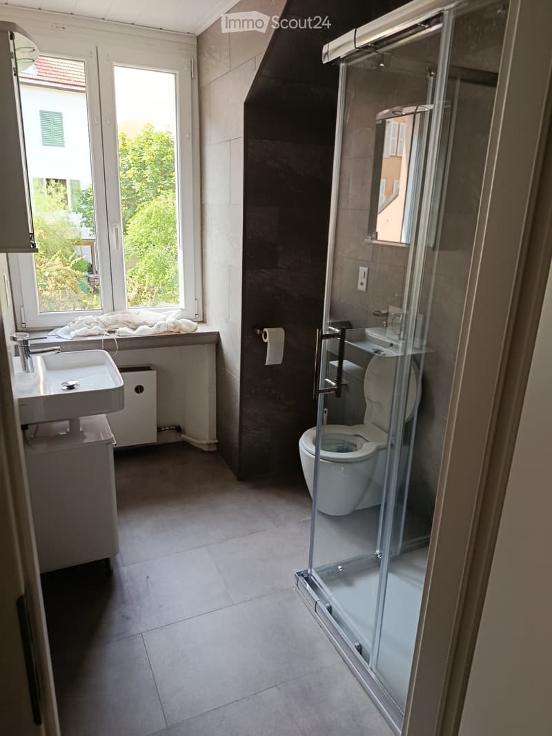 Bel appartement de 2.5 pièces à louer (5)