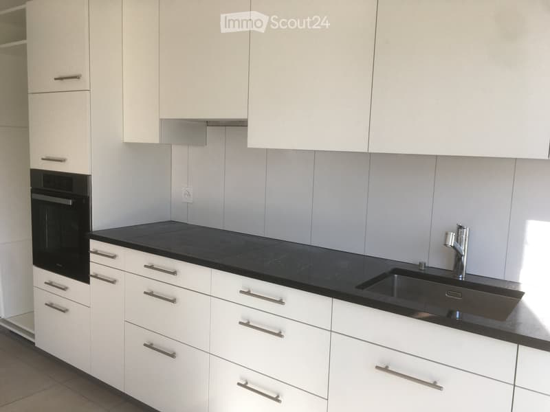 Appartement récent de 2,5 pièces avec vue sur les montagnes (3)