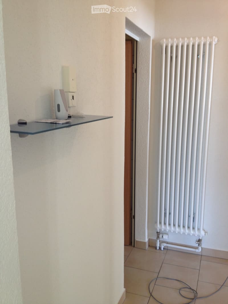 APPARTEMENT DE 2.5 PIECES (2)