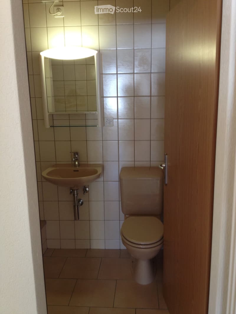 APPARTEMENT DE 2.5 PIECES (4)