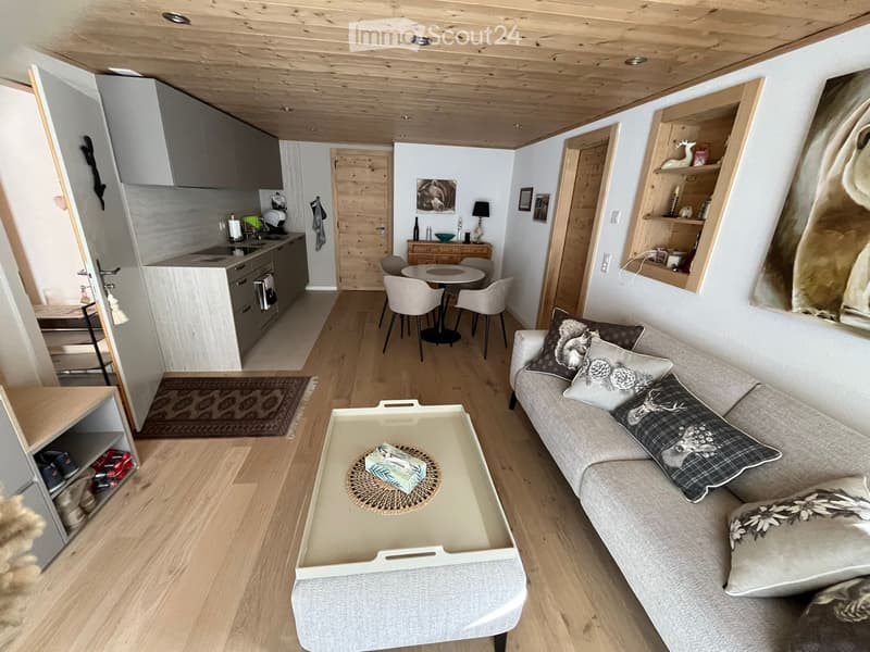 2.5 pcs Cosy meublé terrasse - Rte royale Les Diablerets (3)
