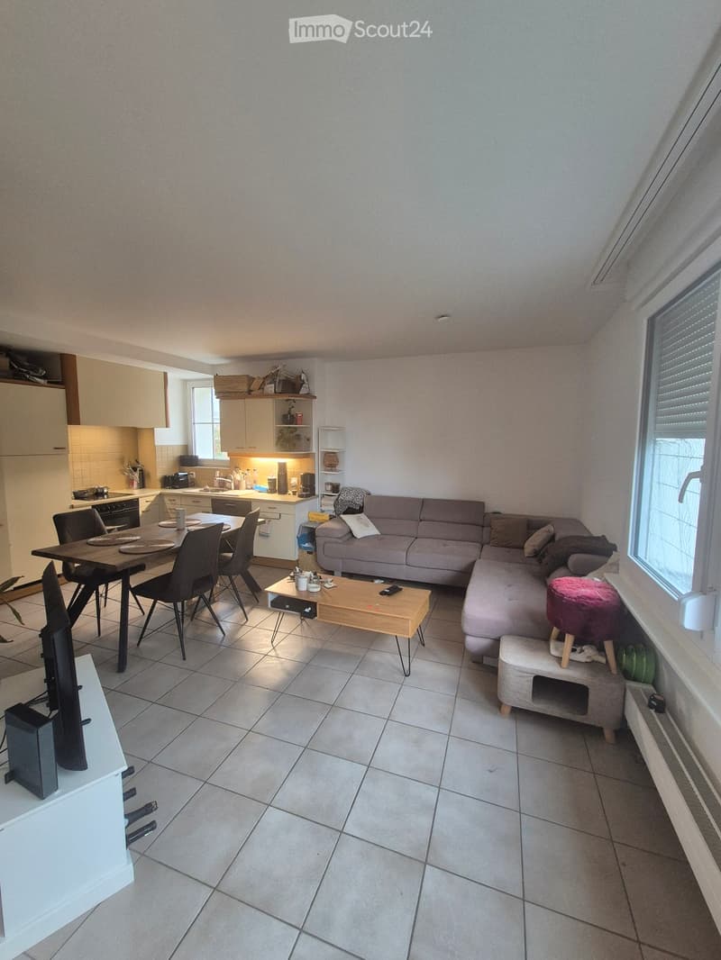 Charmant appartement 2 pièces, à la Tour-de-Peilz (2)