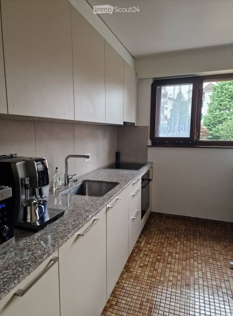 Appartement 3.5 pièces proche du lac et gare (4)