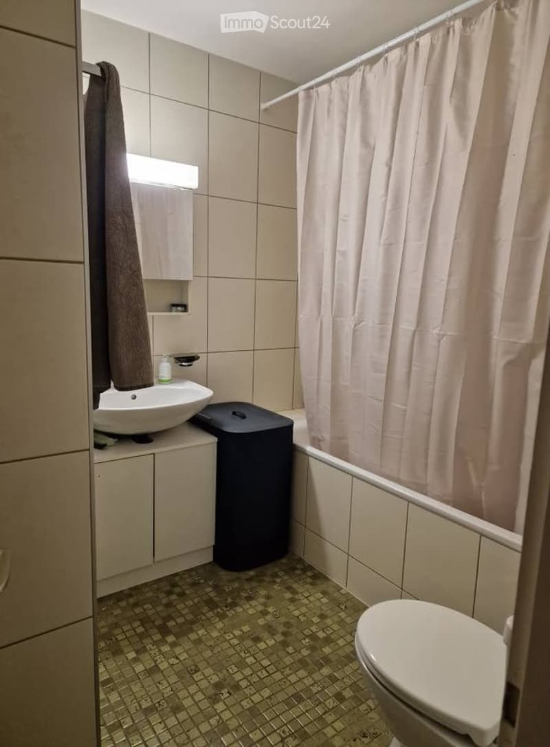 Appartement 3.5 pièces proche du lac et gare (3)