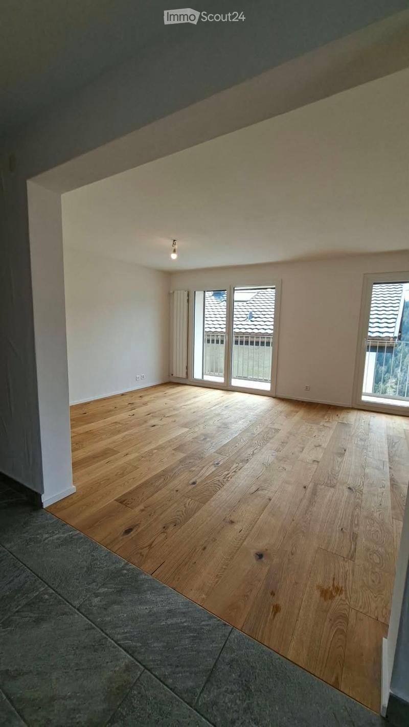 Appartement rénové 1 étage 2 places de parc (3)
