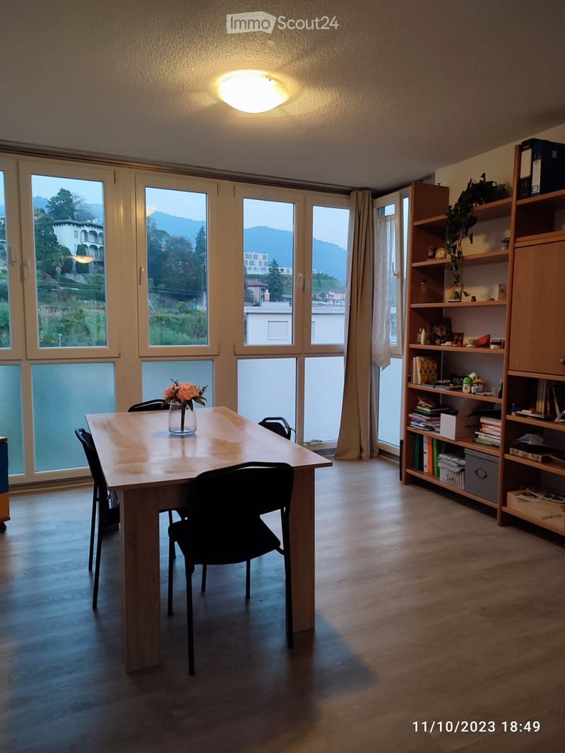 Rent to buy 3.5 locali, anche senza permesso in CH (4)