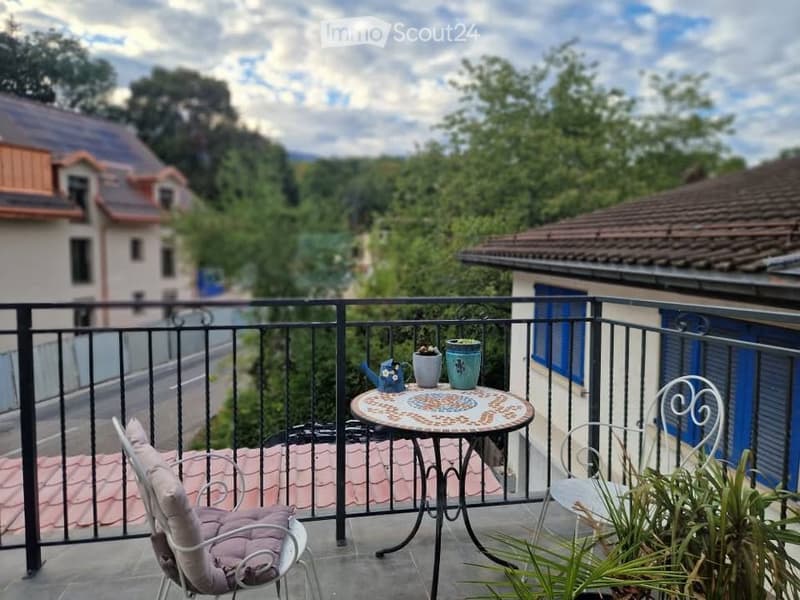 Cosy appartment on 2 levels in Crassier (3)