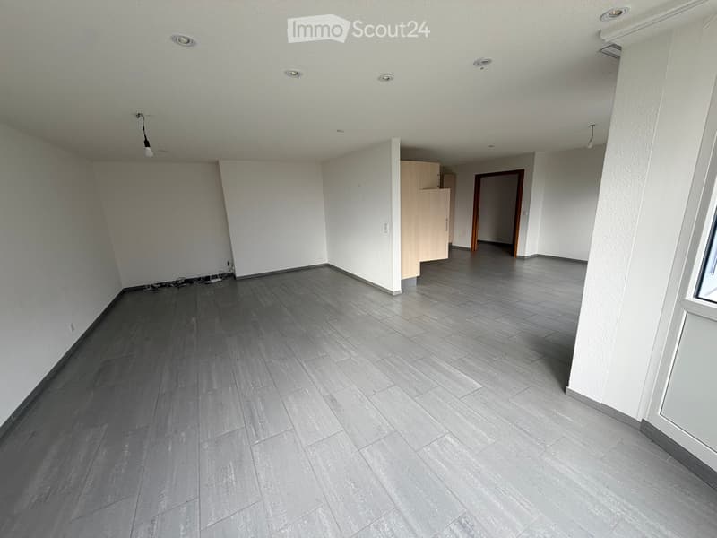 Grand appartement - Susten (2)