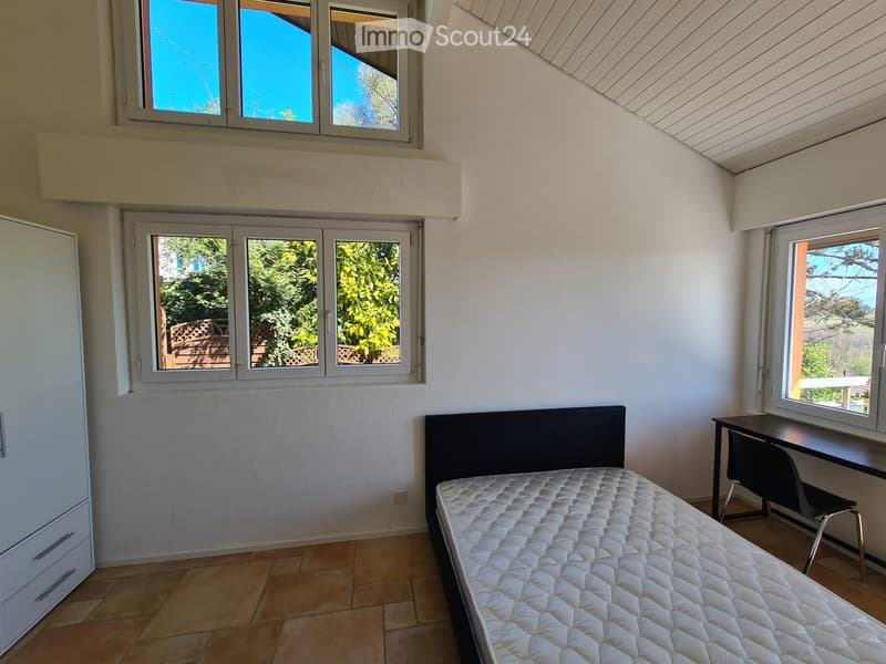 Chambre à louer dans une magnifique maison en colocation (4)