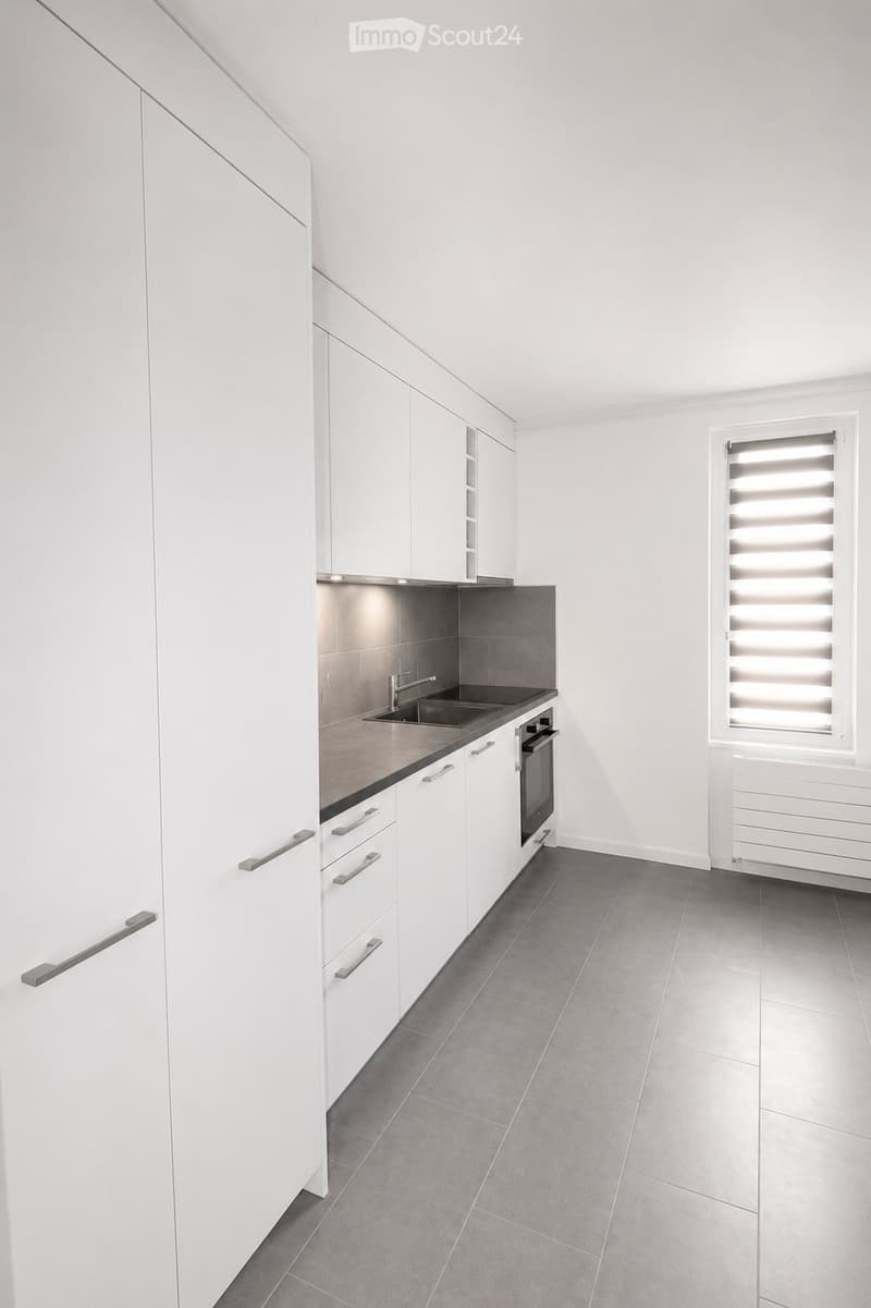 3.5 pièces lumineux avec vue sur le lac, terrace et jardin (4)
