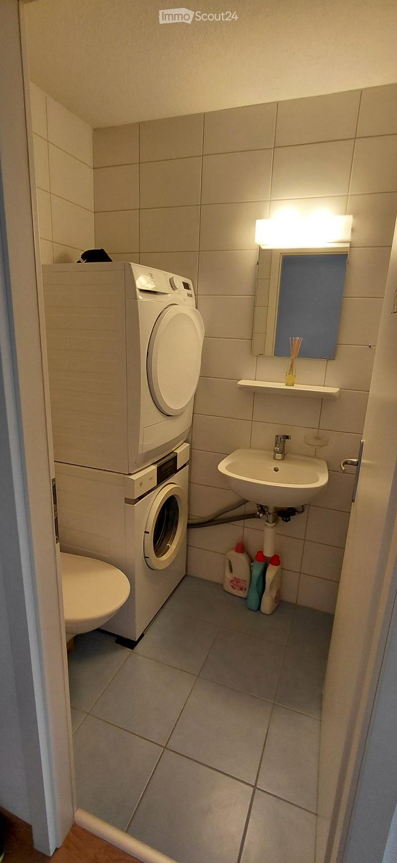 Appartement 3.5 pcs, lumineux, combles (3)