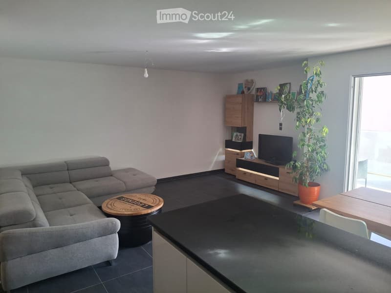 À louer  Magnifique appartement 4.5 pièces neuf (3)