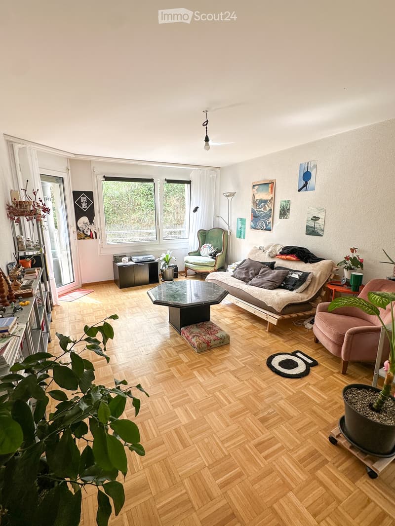 Reprise de bail - Appartement 3.5 pièces. (1)