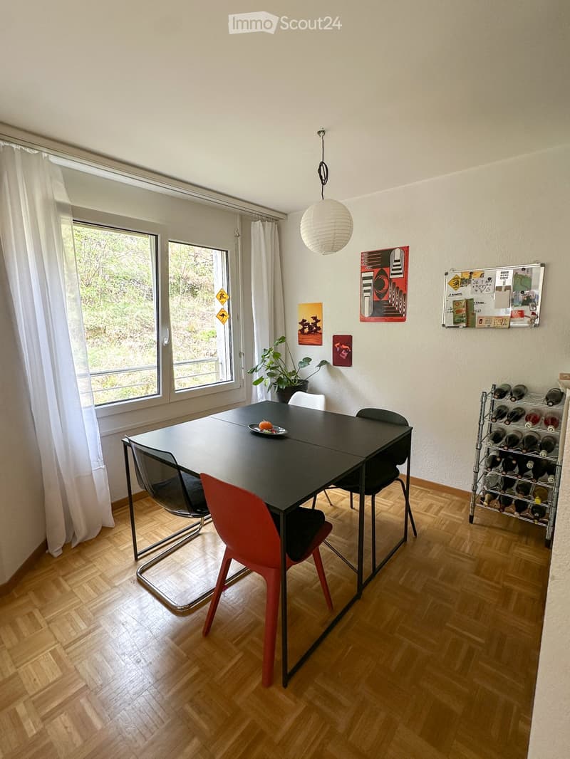 Reprise de bail - Appartement 3.5 pièces. (12)