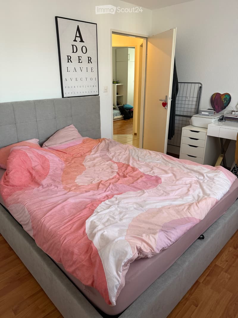 Apparemment de 4.5 pièces à louer (4)