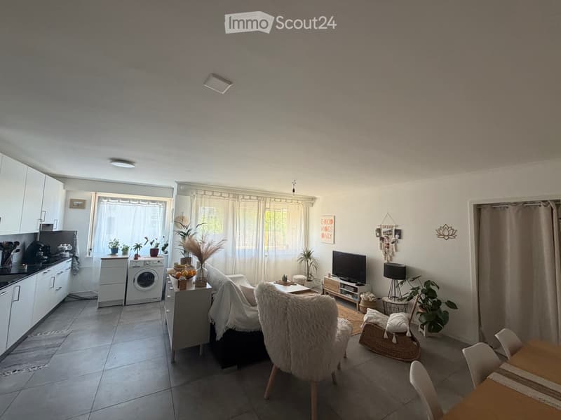 Appartement 3.5 Yverdon (1)