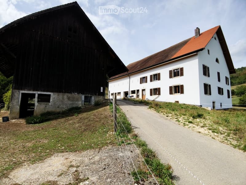 Ancienne ferme en pleine nature / Ehemaliges Bauernhaus (1)