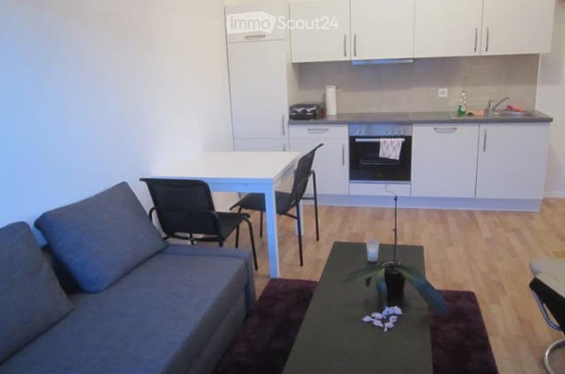 Bel appartement récent dans les combles (2)