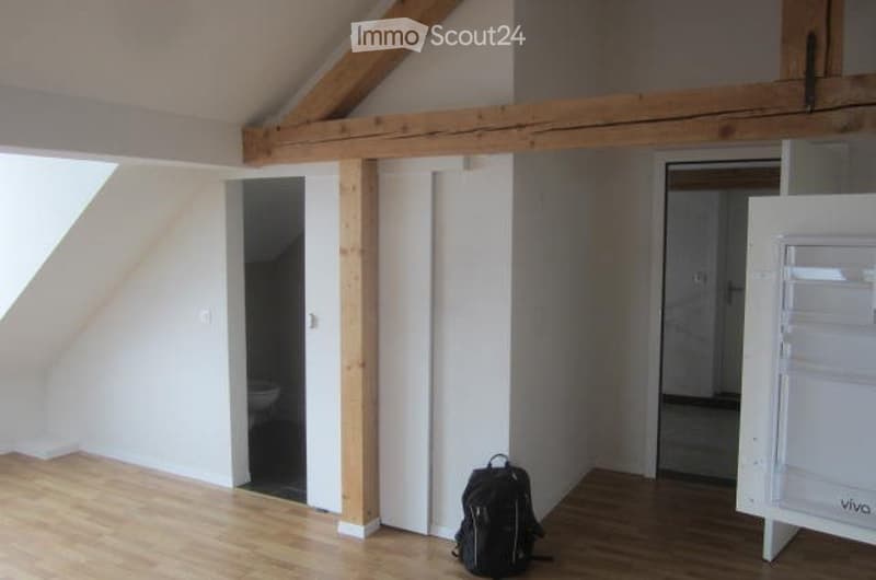 Bel appartement récent dans les combles (4)