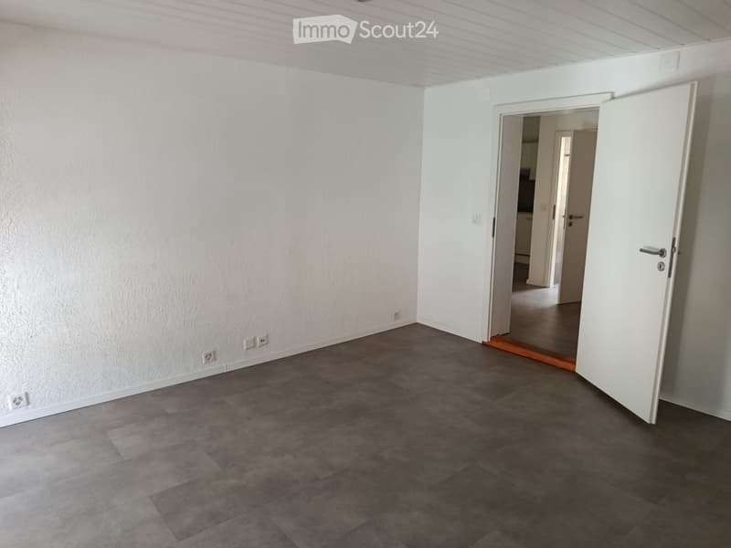 Bel appartement de 2.5 pièces à louer (2)