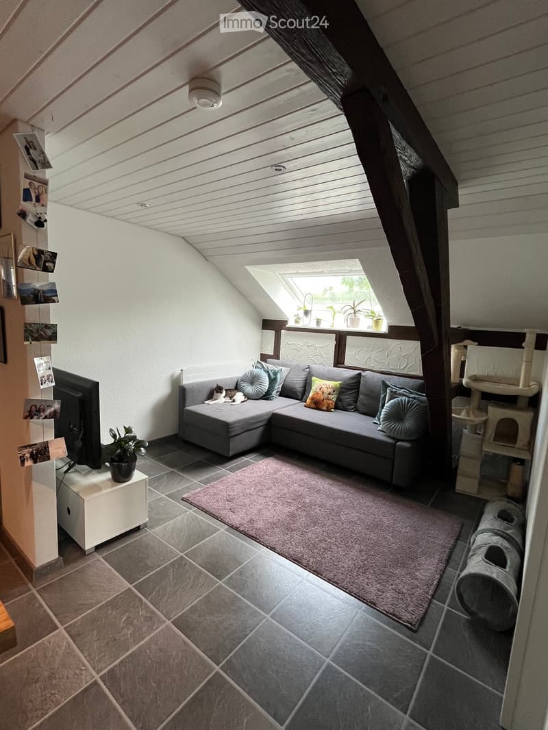 Nachmieter für charmante 3 Zimmer Wohnung gesucht (2)