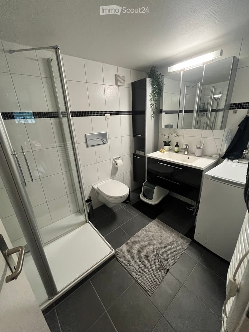 Nachmieter für charmante 3 Zimmer Wohnung gesucht (4)