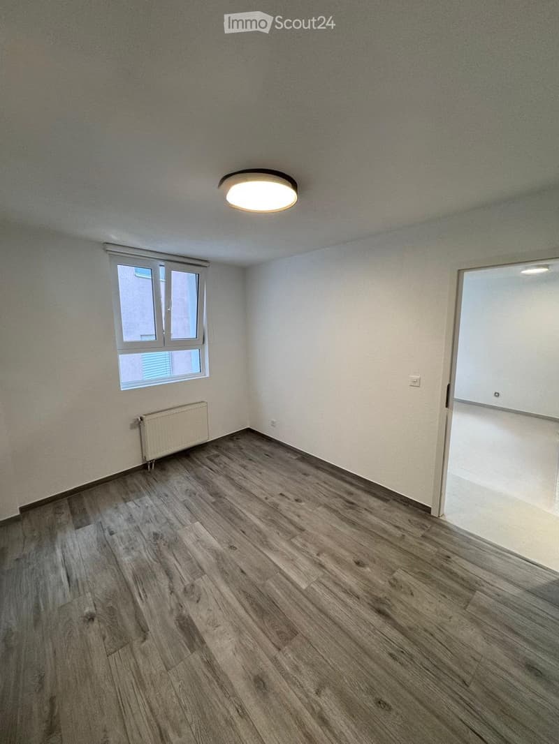 2 PIÈCES ENTIÈREMENT RÉNOVÉ  VIEUX BOURG D'AIGLE (2)