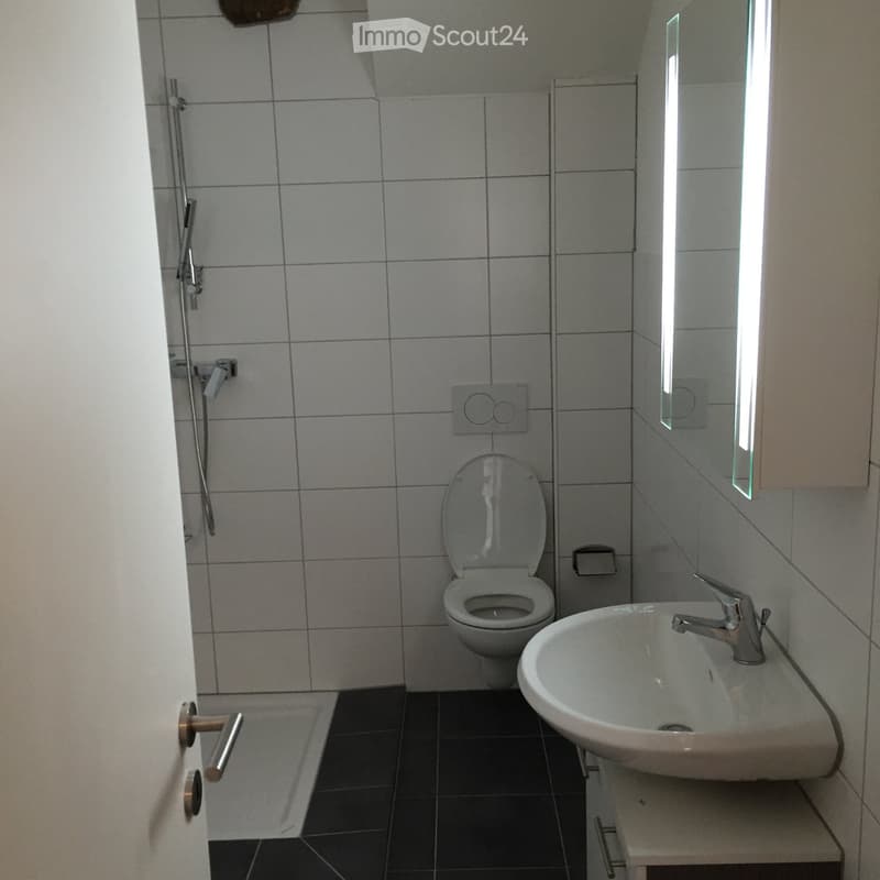 3.5-Zimmer-Wohnung in Balsthal zu vermieten (3)
